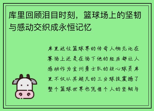 库里回顾泪目时刻，篮球场上的坚韧与感动交织成永恒记忆